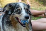 DSCF7864.JPG